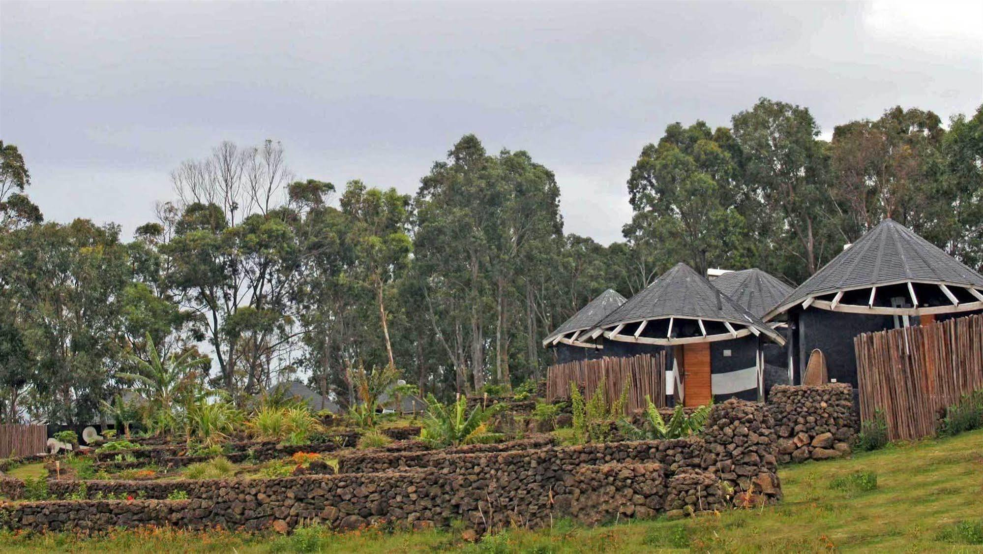Altiplanico Isla De Pascua Hotell Hanga Roa Exteriör bild